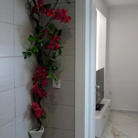 Coral With Free Private Parking Of Stayinthess Appartamento